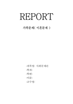 [사회문제론] 가족해체의 실태 및 문제점-12