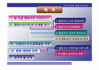 [인력기획론] 신행정수도건설(단계별 평가 및 향후 대책과 전략)-2