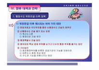 [인력기획론] 신행정수도건설(단계별 평가 및 향후 대책과 전략)-12