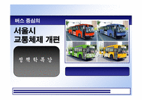 [정책학] 버스중심의 서울시교통체제개편-1