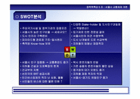 [정책학] 버스중심의 서울시교통체제개편-10