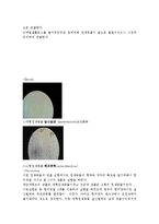 일반생물학 - 원생동물의 관찰-12
