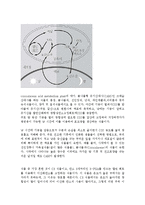 [생물학] C3 C4 CAM 식물에 관하여-5