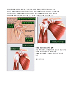 [의학] 오십견. 동결견[frozen shoulder]-3