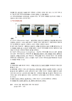 [운동치료학] 척추의 안정화-3