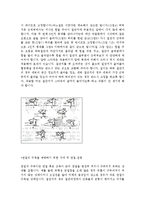 [질환별 물리치료] 하지절단에 관해서-3