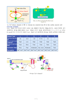 [생리학] 근 수축과 활동 전위 그리고 칼슘채널에 관해서-7