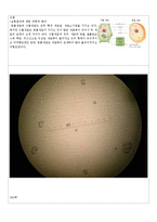 [생물학 실험] 동물세포와 식물세포의 관찰-3