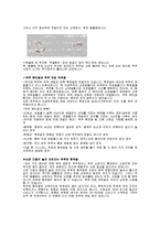 통증 - 요통에 대해서-4