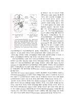 통증 - 통증의 병태생리-7