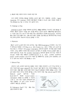통증 - 통증의 병태생리-8