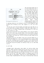 통증 - 통증의 병태생리-11