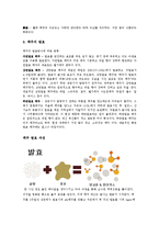 생물학 - 맥주의 발효 과정과 맥주를 이용한 요리 및 조리과정-2