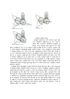 [해부생리] The Hip Joint[고관절]에 관해-9