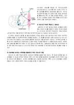 [의학] 근방추와 골지건[MS& GTO] 에 관해서-11