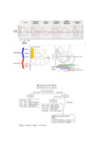 [의학] 심전도[ECG, EKG]에 관해서-12