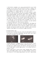 운동과 건강 - 소식[小食]에 대해서-3