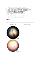 생물학 - 식물세포와 동물세포의 관찰-2