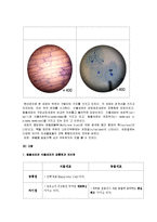 생물학 - 식물세포와 동물세포의 관찰-3