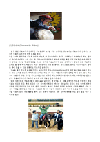 [소아마비] 재활 승마 치료에 관해서-3