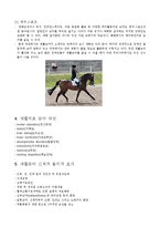 [소아마비] 재활 승마 치료에 관해서-4