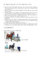 [소아마비] 재활 승마 치료에 관해서-6