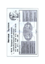 척수손상[Spinal Cord Injury; SCI]에 관해-3