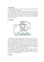 성의 생물학 - 남성의 성호르몬과 여성의 성호르몬-7