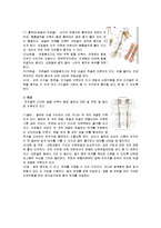21c현대인을 위한 운동 방법 - 인체 관절계와 운동역학, 골격계와 운동역학-6