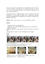 [생명과학] 원생생물의 관찰-2