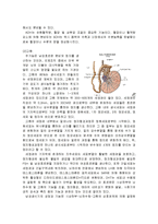 성의 생물학-남성호르몬과 여성 호르몬에 대하여-3