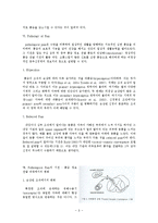 통증의학 - 통증의 병태생리-8