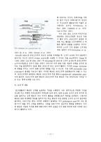 통증의학 - 통증의 병태생리-11