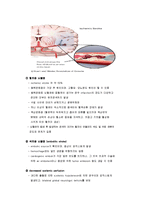 뇌손상 - cva[Cerebral Vascular Accident] 에 대해-3
