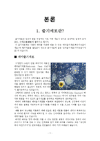 생물미래학 - 줄기세포[줄기세포를 이용한 기술들이 현재 얼마나 진행되었고, 미래에는 어떤 분야로 더 영역을 넓혀갈 것인지에 대해] -3