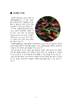생물미래학 - 줄기세포[줄기세포를 이용한 기술들이 현재 얼마나 진행되었고, 미래에는 어떤 분야로 더 영역을 넓혀갈 것인지에 대해] -4