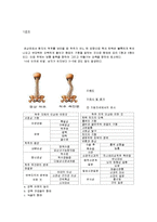 정형외과학 - 척추 변형을 일으키는 질환-3