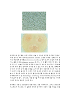 [보건학] 인수공통전염병에 관해서-11