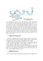 [생물학실험] 확산, 원형질 분리, 용혈현상-3