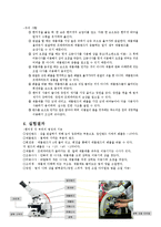 [미생물실험보고서] 현미경 사용법, 수생 미생물 관찰, 세균 수 관찰-4