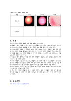 [미생물실험보고서] 현미경 사용법, 수생 미생물 관찰, 세균 수 관찰-5