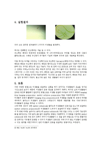 [미생물실험보고서] 현미경 사용법, 수생 미생물 관찰, 세균 수 관찰-7