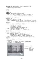 [의학] 추간판탈출증[Herniated Intervertebral Disc, HID]에 관해-2