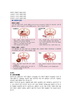 [물리치료] 뇌졸중에 관한 내용과 치료에 관해-4