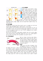 [물리치료] 뇌졸중에 관한 내용과 치료에 관해-5