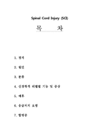 척수손상 - Spinal Cord Injury [SCI]-1