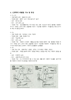 척수손상 - Spinal Cord Injury [SCI]-5