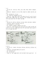 척수손상 - Spinal Cord Injury [SCI]-6