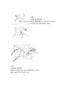 [물리치료] 진행성 근 이영양증[Progressive Muscular Dystrophy,PMD]환자에 대한 이해와 운동치료-3