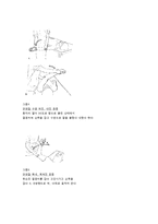 [물리치료] 진행성 근 이영양증[Progressive Muscular Dystrophy,PMD]환자에 대한 이해와 운동치료-4